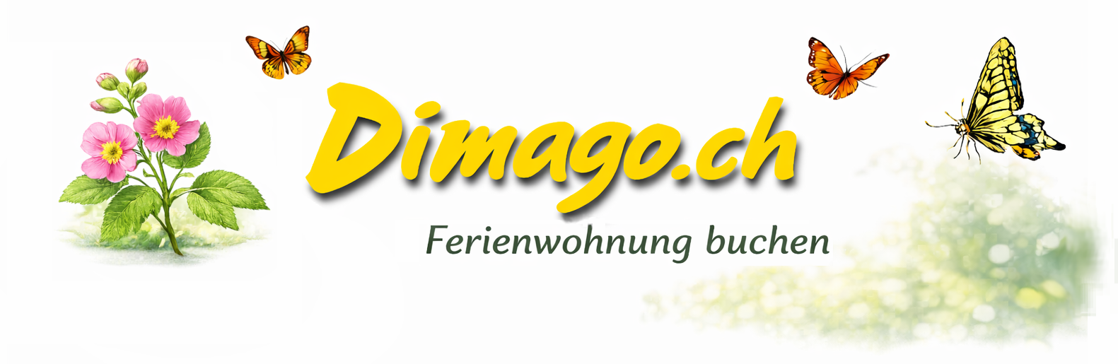 Dimago.ch